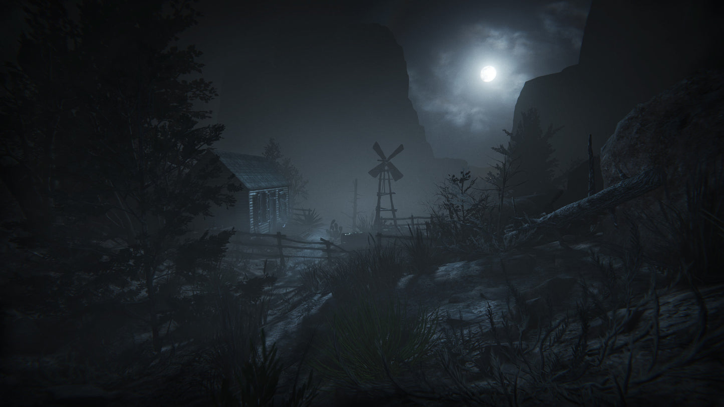 Outlast 2 (Steam)