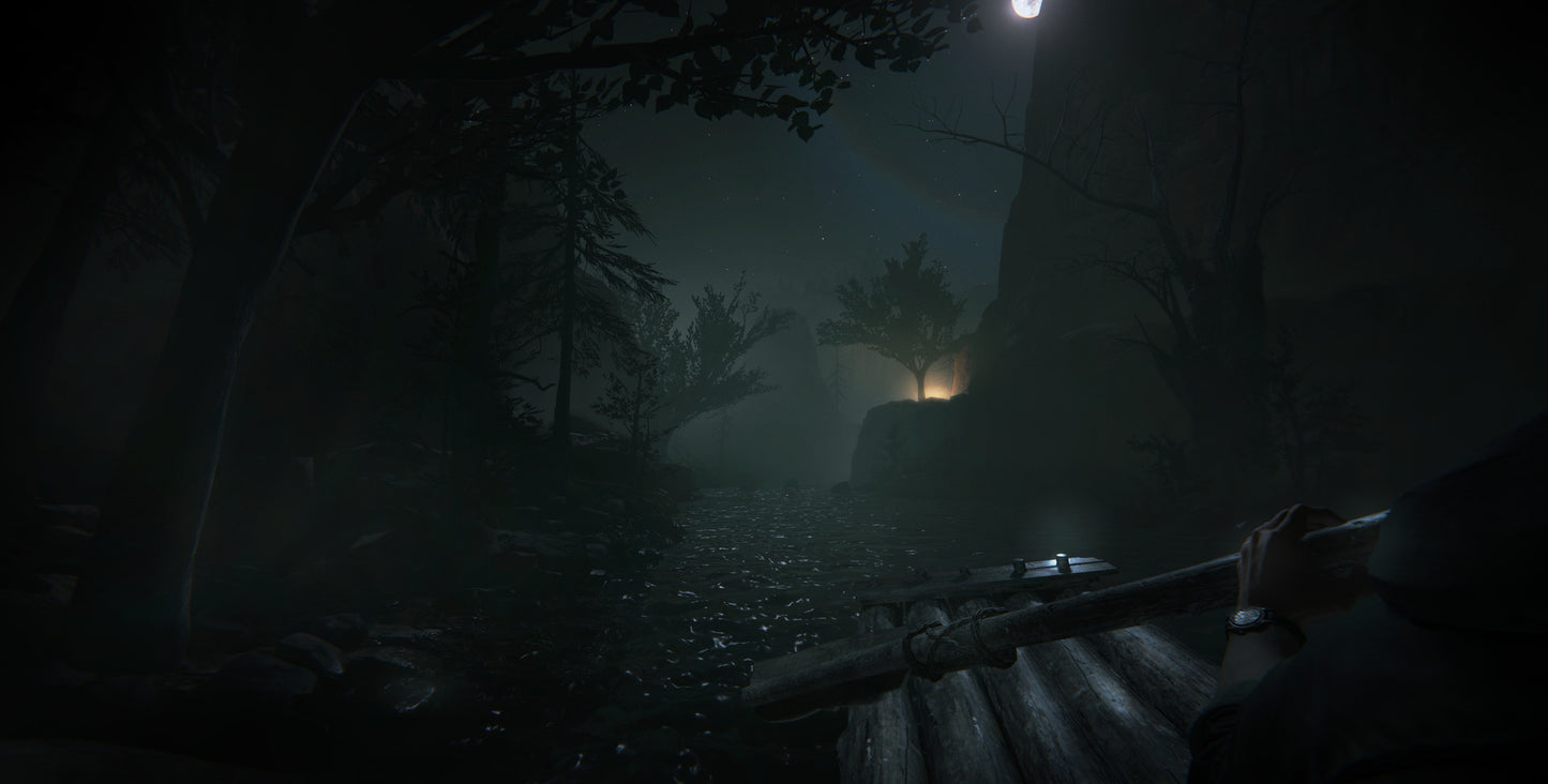 Outlast 2 (Steam)