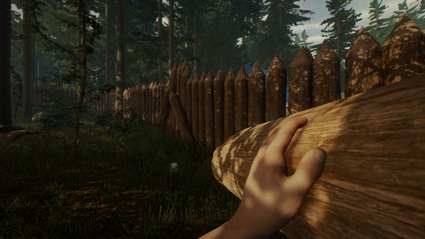 The Forest (Steam)