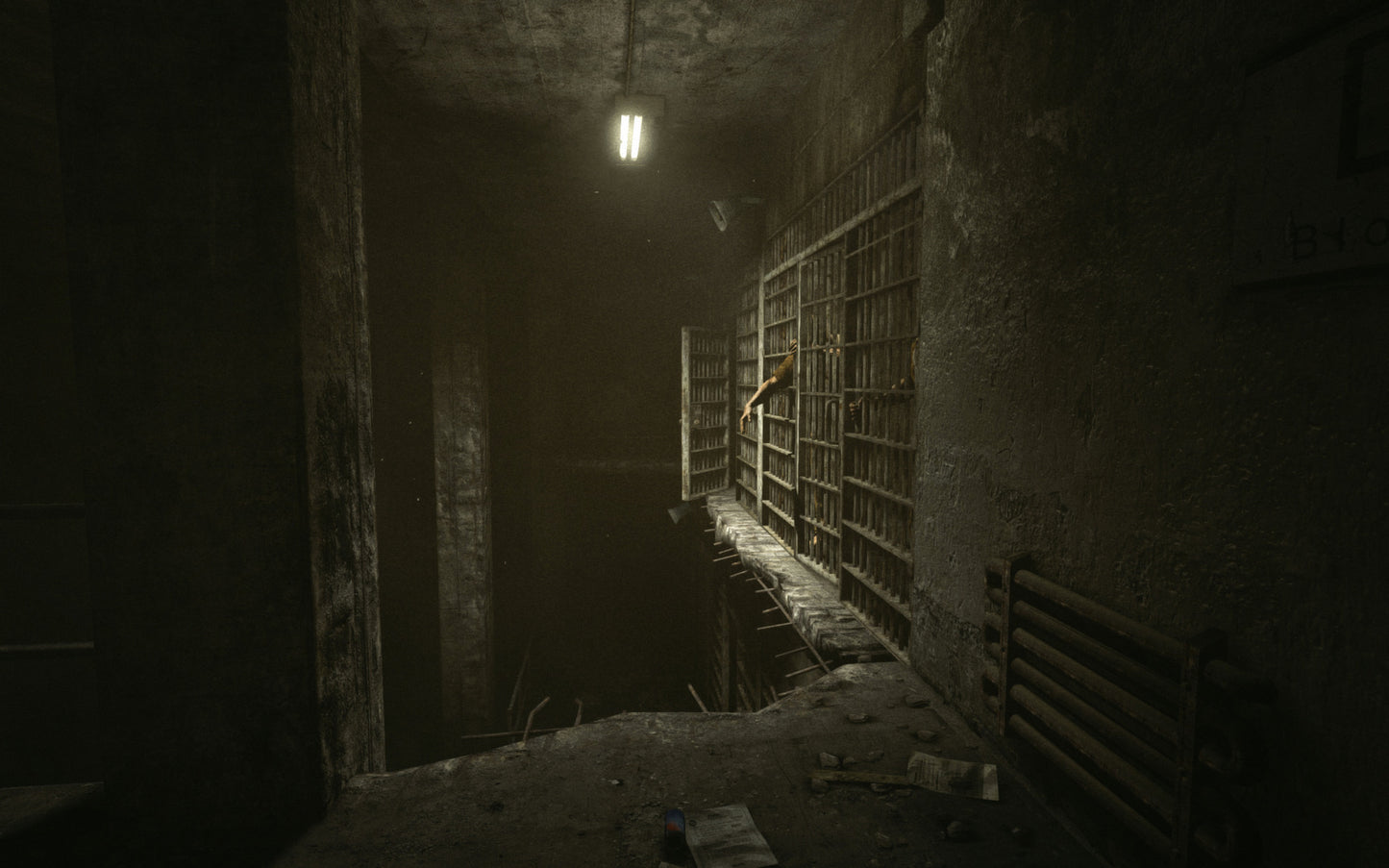 Outlast (Steam)