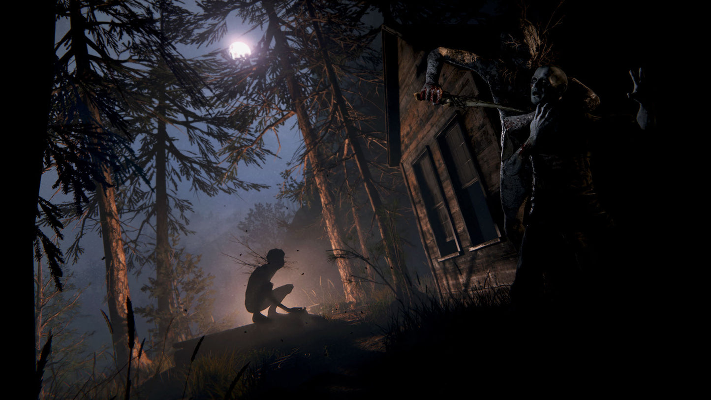 Outlast 2 (Steam)