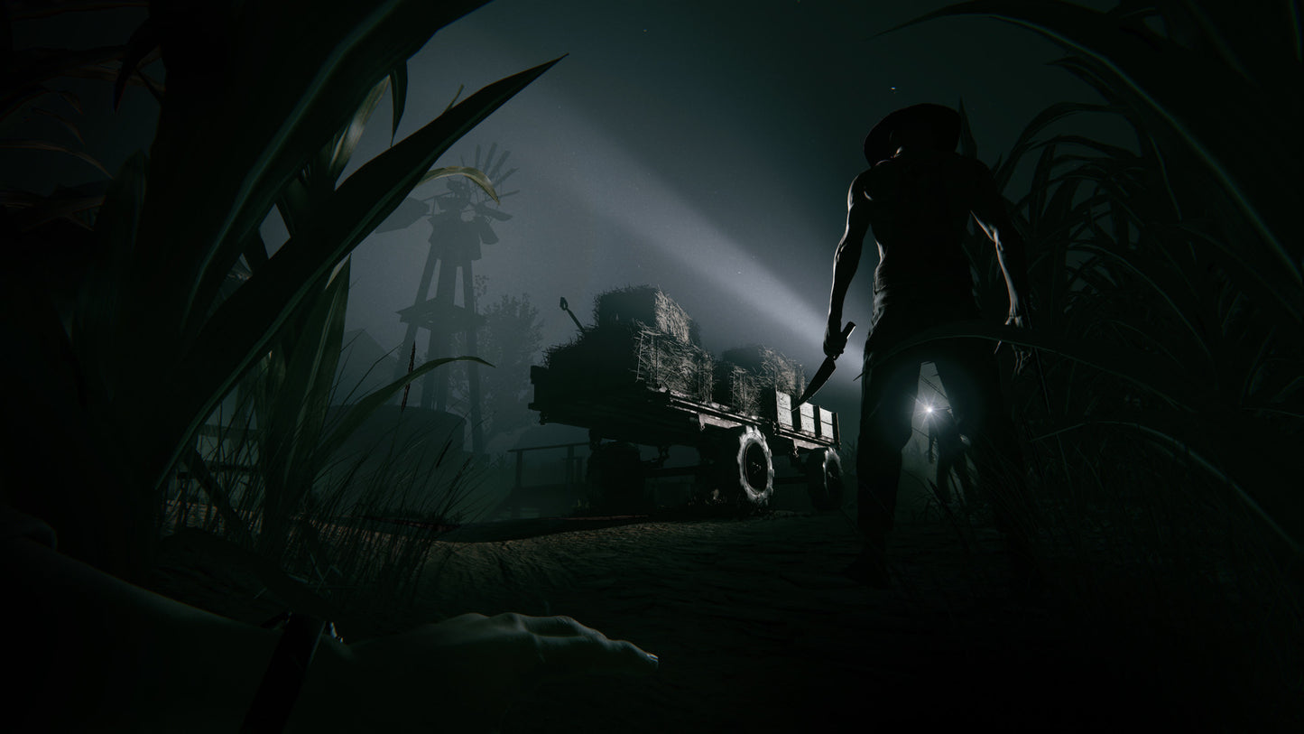 Outlast 2 (Steam)