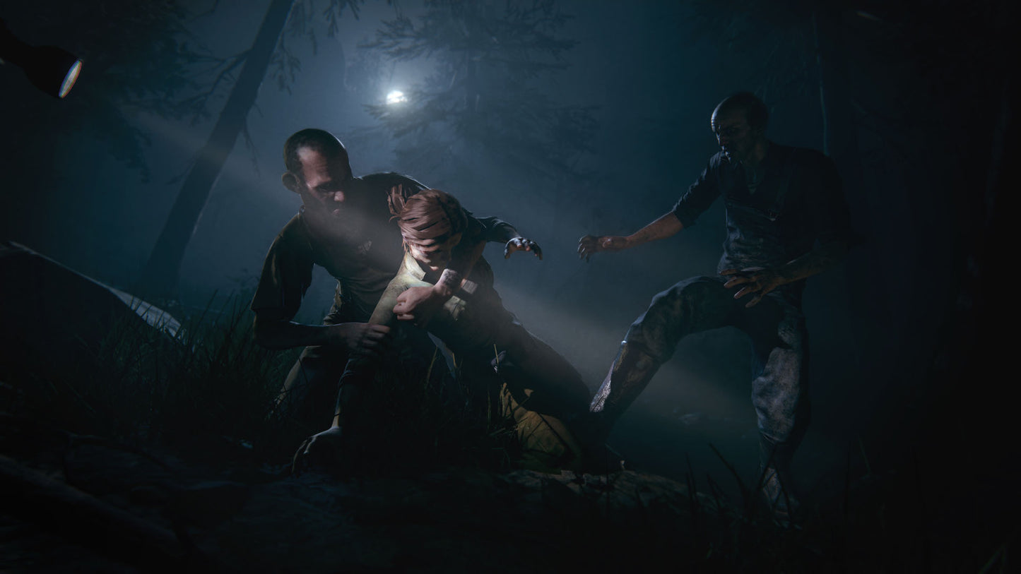 Outlast 2 (Steam)