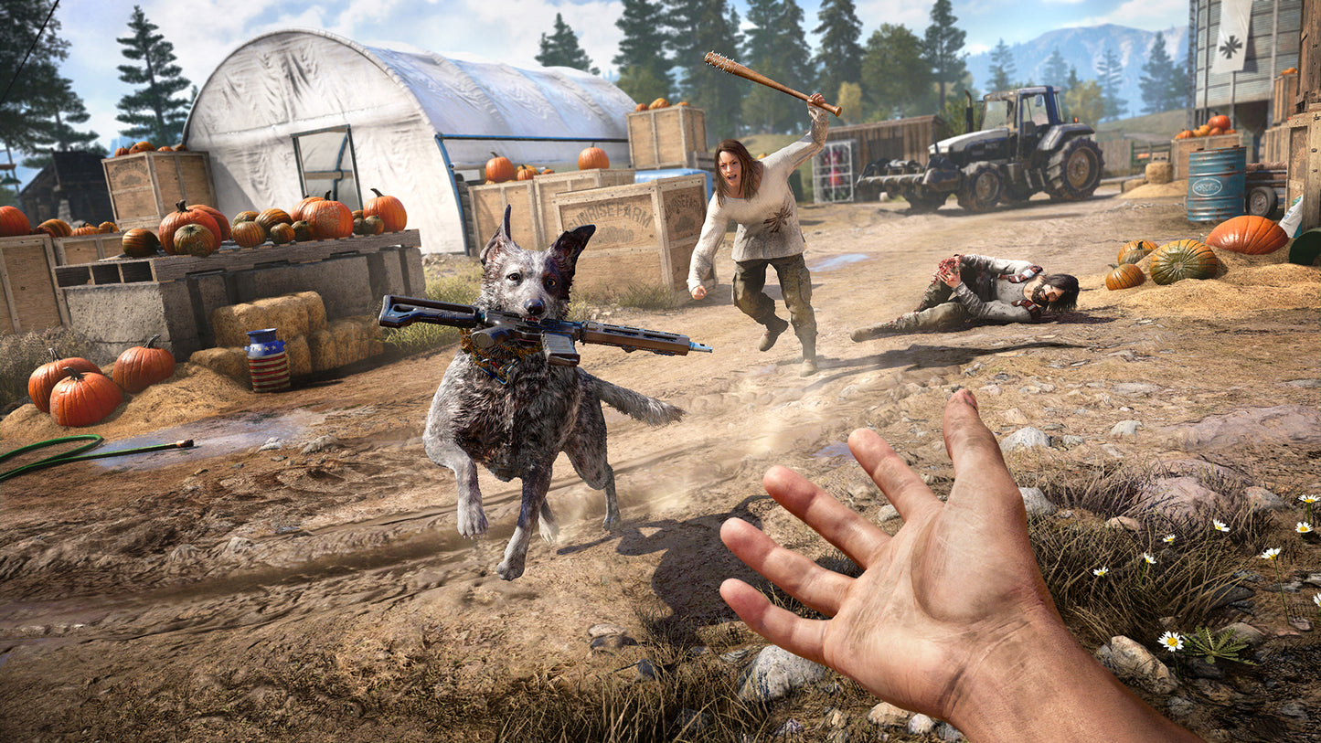 Far Cry 5 (Ubisoft Connect)