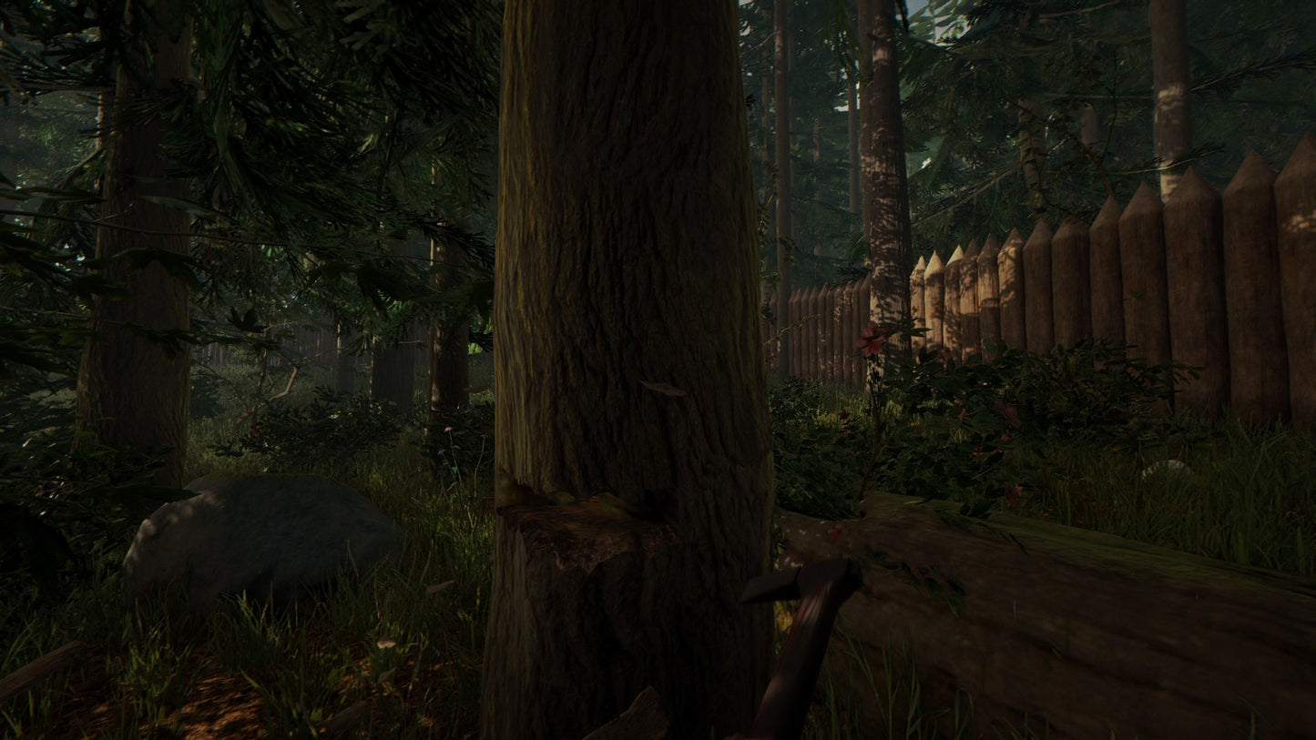 The Forest (Steam)