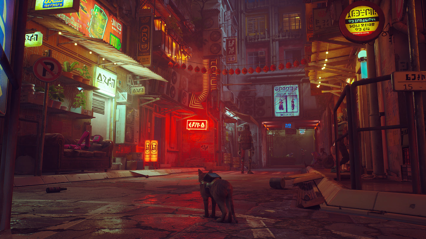 Stray (Steam)