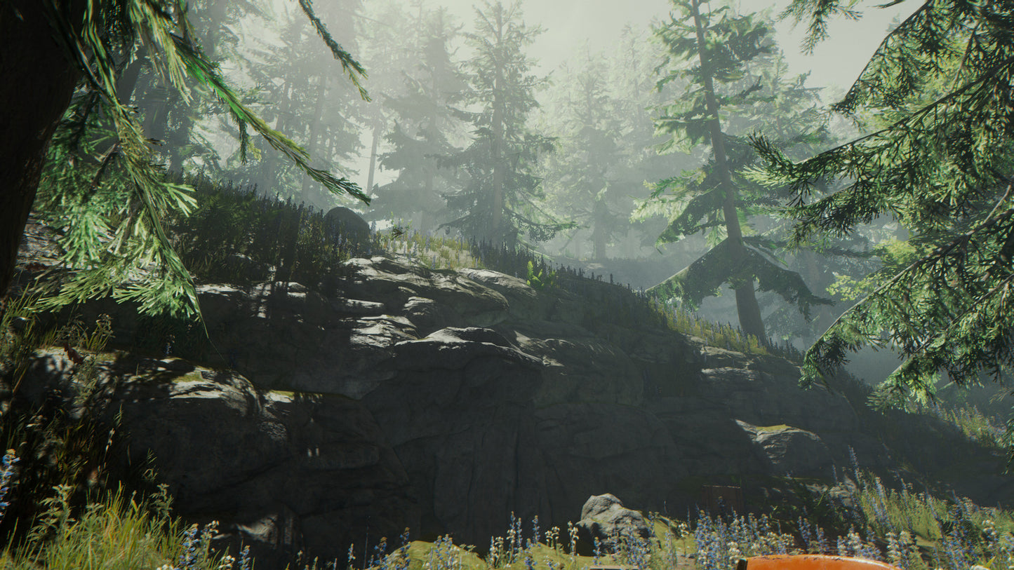 The Forest (Steam)