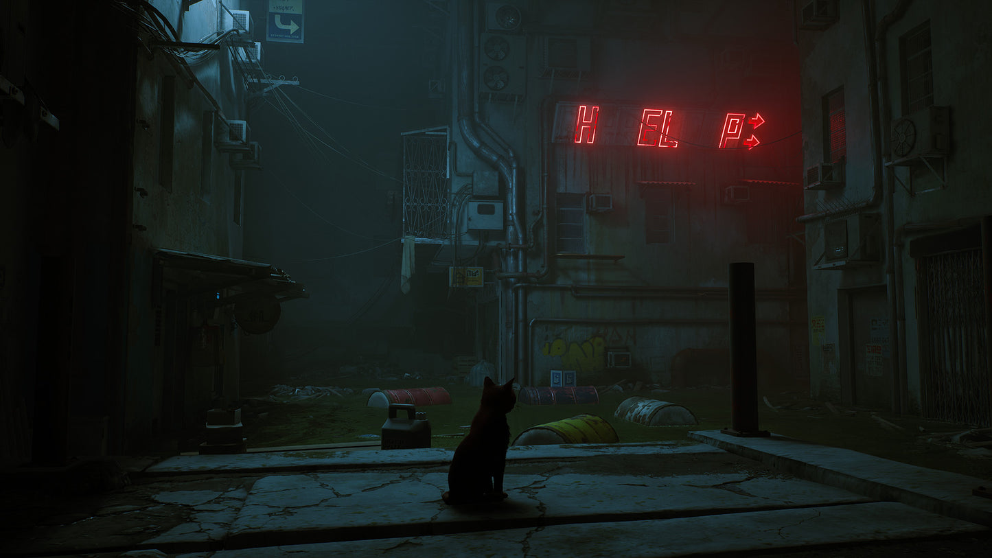 Stray (Steam)