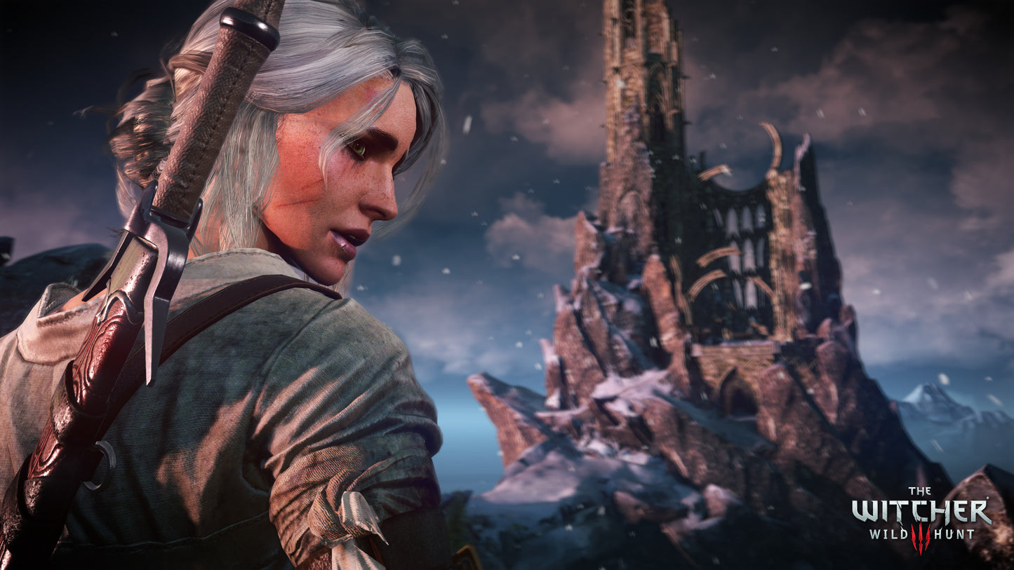 The Witcher 3: Wild Hunt (Steam)