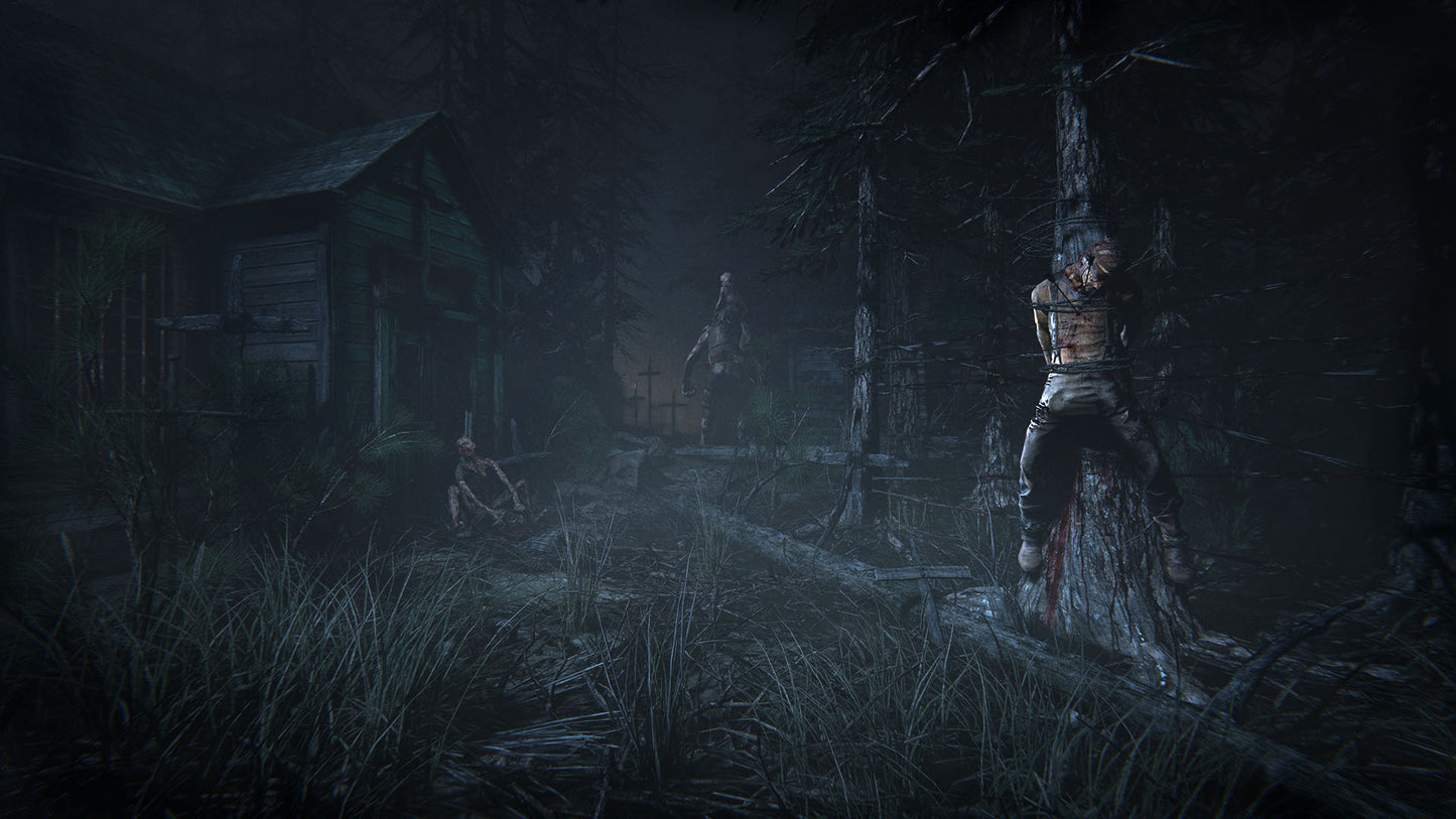 Outlast 2 (Steam)
