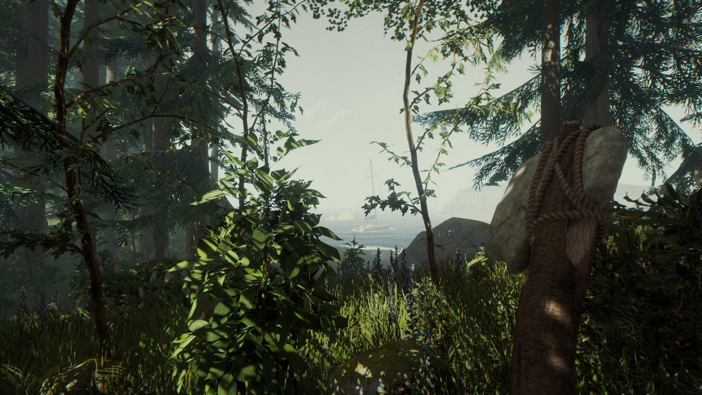 The Forest (Steam)