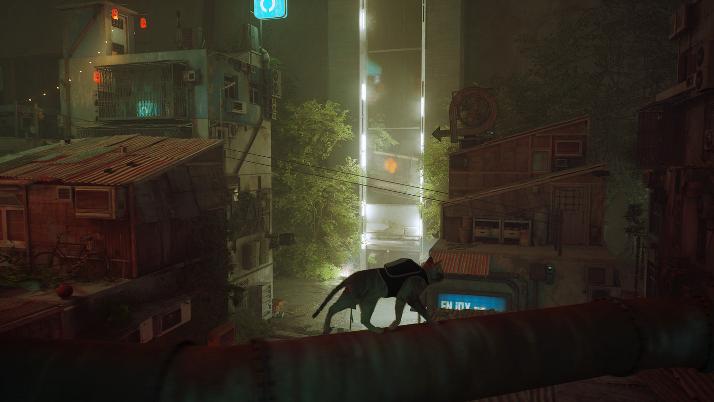 Stray (Steam)