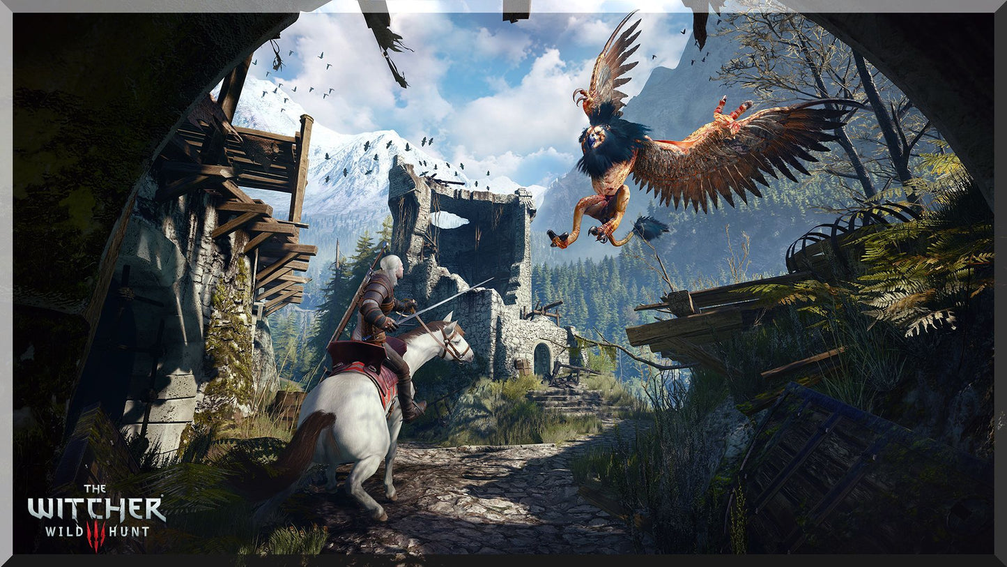 The Witcher - Wild bundle (STEAM)