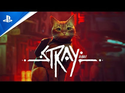 Stray (Steam)