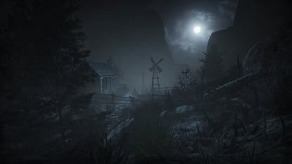 Outlast 2 (Steam)