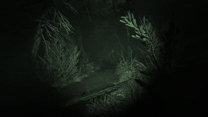 Outlast 2 (Steam)