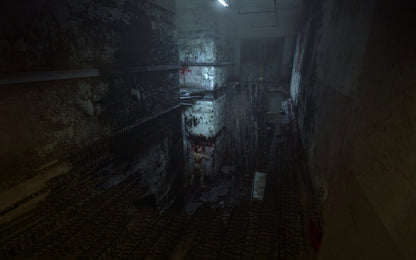 Outlast (Steam)