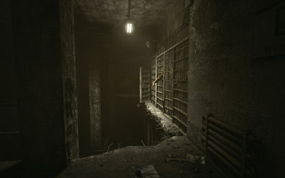 Outlast (Steam)