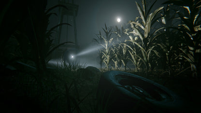 Outlast 2 (Steam)