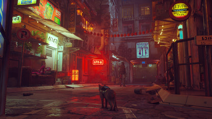 Stray (Steam)