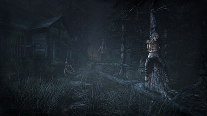 Outlast 2 (Steam)