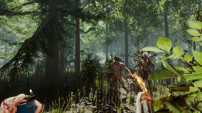 The Forest (Steam)